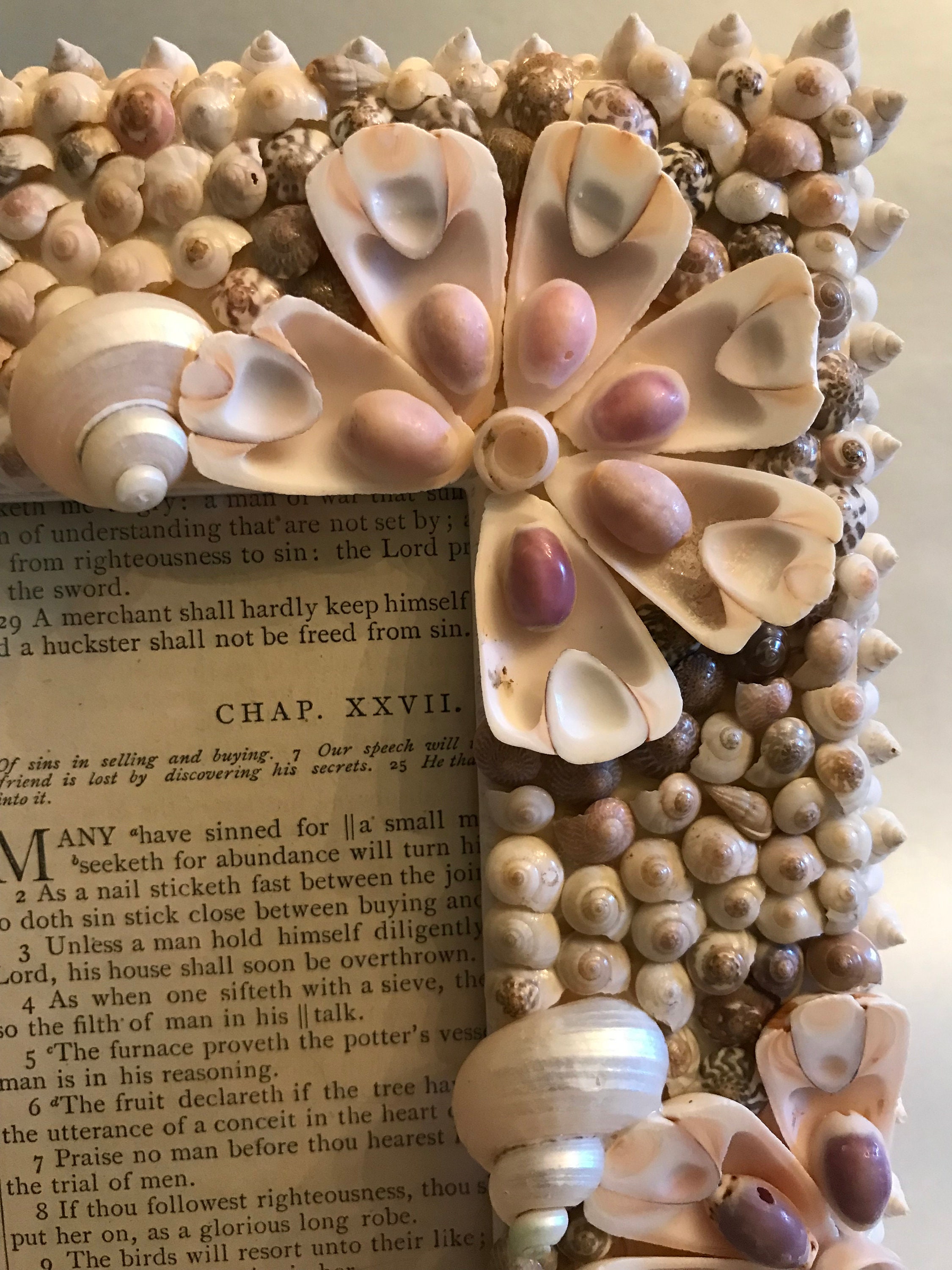 Larger Handmade Seashell Frame One of a Kind Shell Frame - Etsy