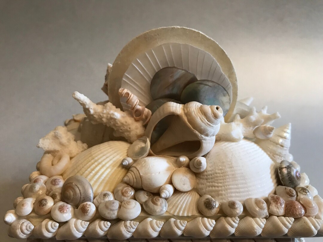 Seashell Ring Box, Handmade Shell Box - Etsy