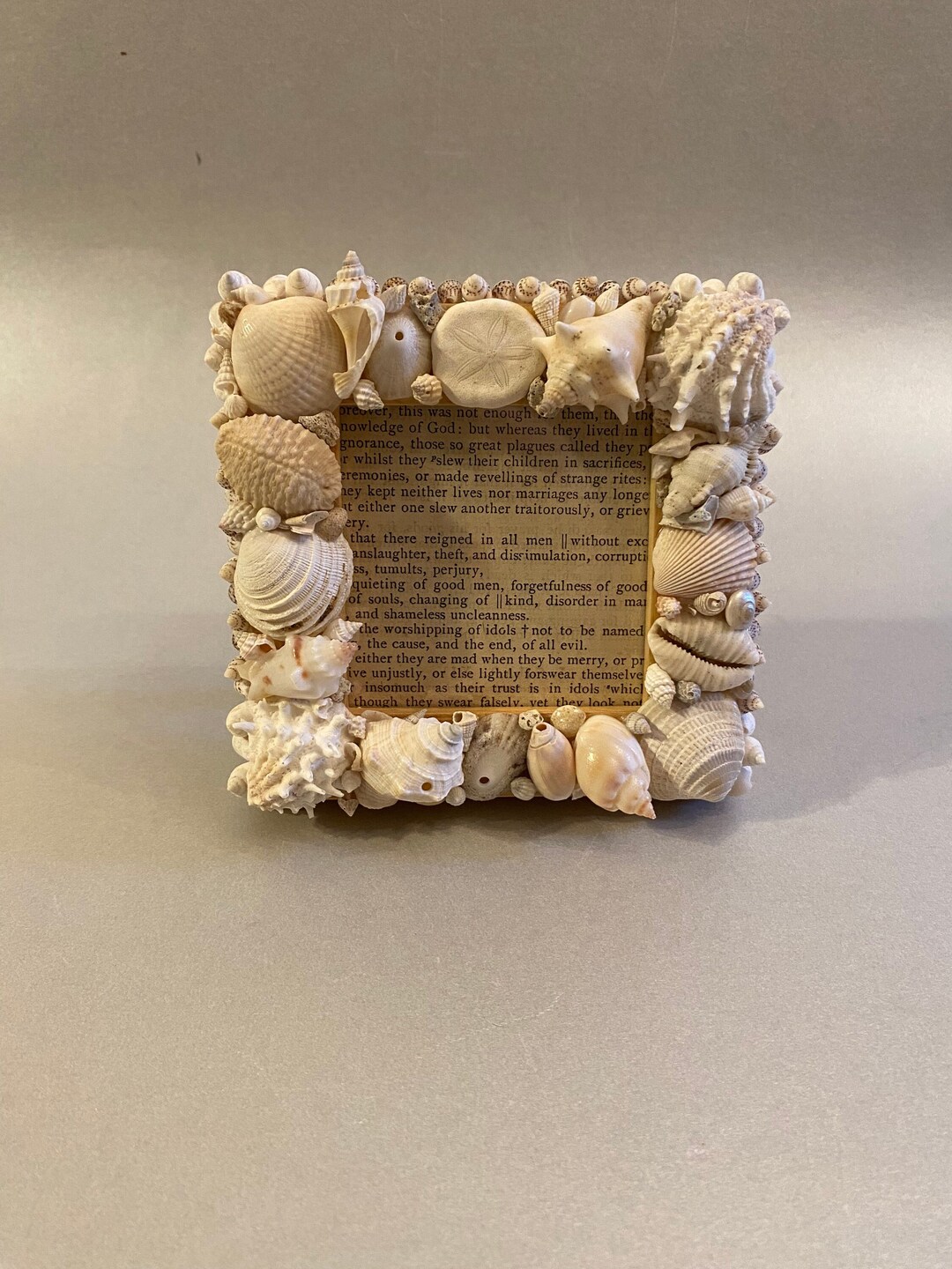 Handmade Seashell Picture Frame With Hand Picked Shells - Etsy