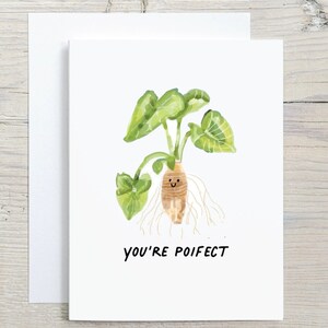 Funny Poi Hawaiian Food Taro Friendship Love Card pour meilleur ami, collègue, sœur, petite amie, petit ami, patron – Vous êtes le meilleur, parfait