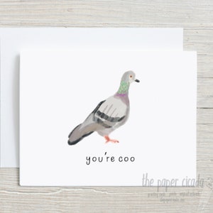 Funny New York pigeon card, you're cool, just Because, Thinking of You, Birthday, friendship card, thank you