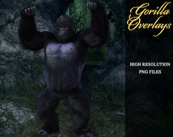 Gorilla Overlays, Separate PNG Files, High Resolution, Instant Download, CUOK, Buy 3 get 1 free.