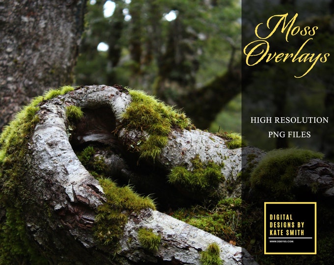 20 x Moss Overlays, Separate PNG Files, High Resolution, Instant Download, CUOK.