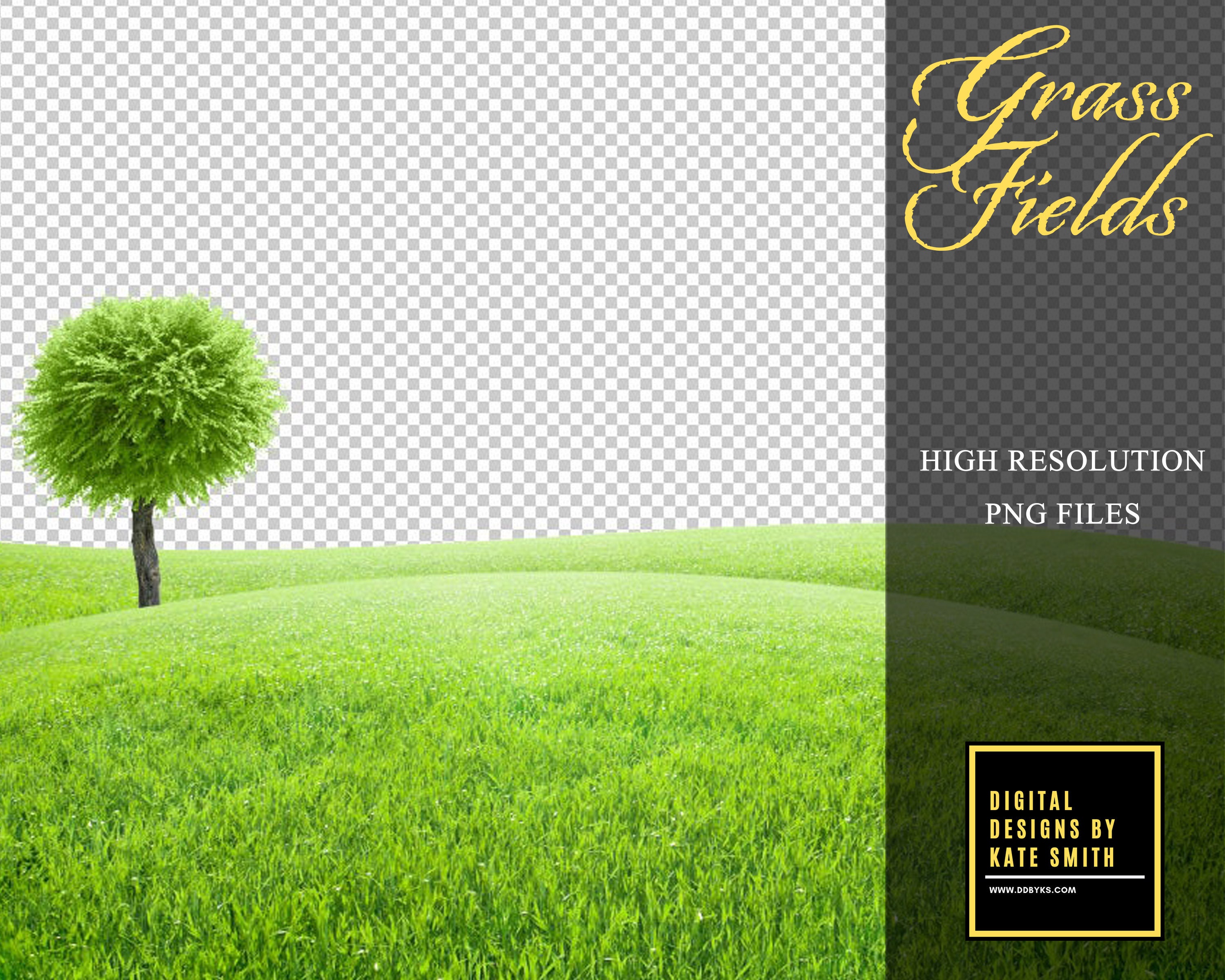 5 X Grass Field Overlays Extra Large Files High Resolution - Etsy