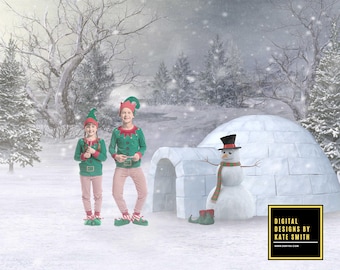Elf's Igloo Digital Backdrop / Background, High Resolution, Instant Download, Buy 3 get 1 free, CUOK.
