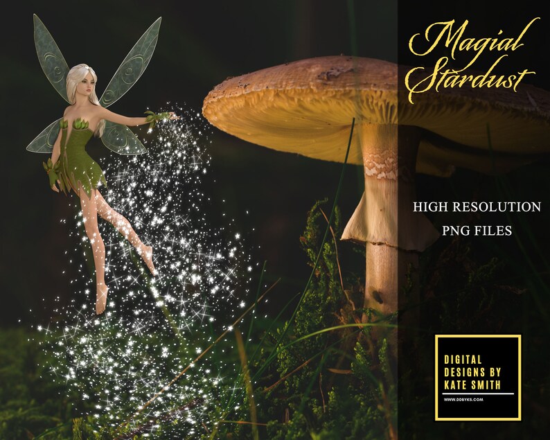 Special Effects for Photoshop High Resolution Instant Download Magical Stardust Overlays Separate Png Files CUOK.