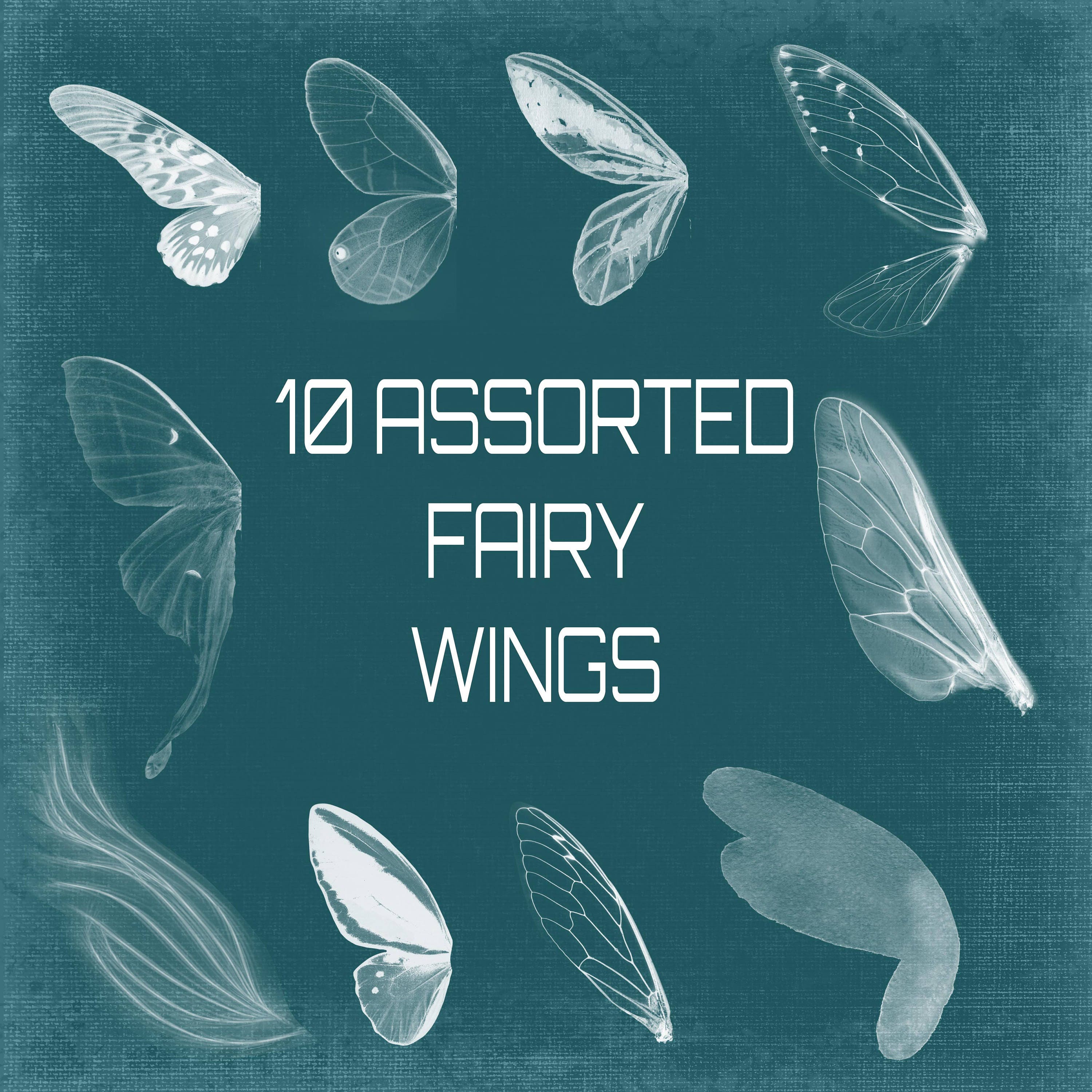 buy fairy wings
