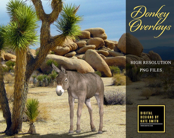 15 Donkey Overlays, Separate PNG Files, High Resolution, Instant Download.