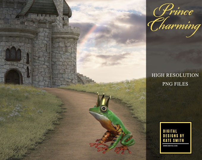 Prince Charming Overlays, Separate PNG Files, High Resolution, Instant Download, Buy 3 get 1 free, CUOK.