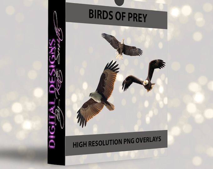 Buy 3 get one free. Birds of prey Overlays, Separate Png's with Transparent Backing, High Resolution, Instant Download.