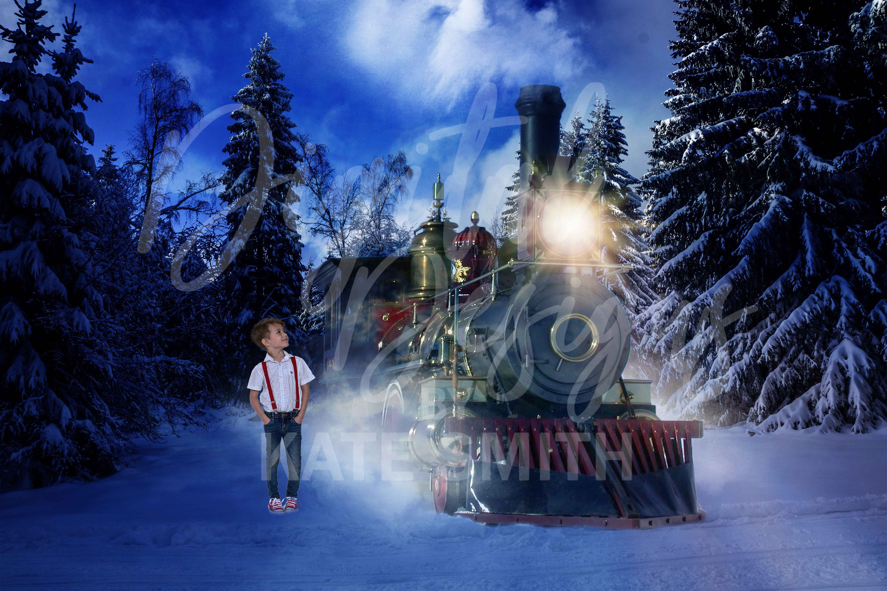 Polar Express Digital Backdrop / Background, High Resolution 300ppi