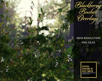 Blackberry Bushes Overlays, Separate PNG Files, High Resolution, Instant Download. CUOK.