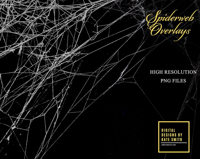 Spiderweb Overlays, Separate PNG Files, High Resolution, Instant Download, CUOK.