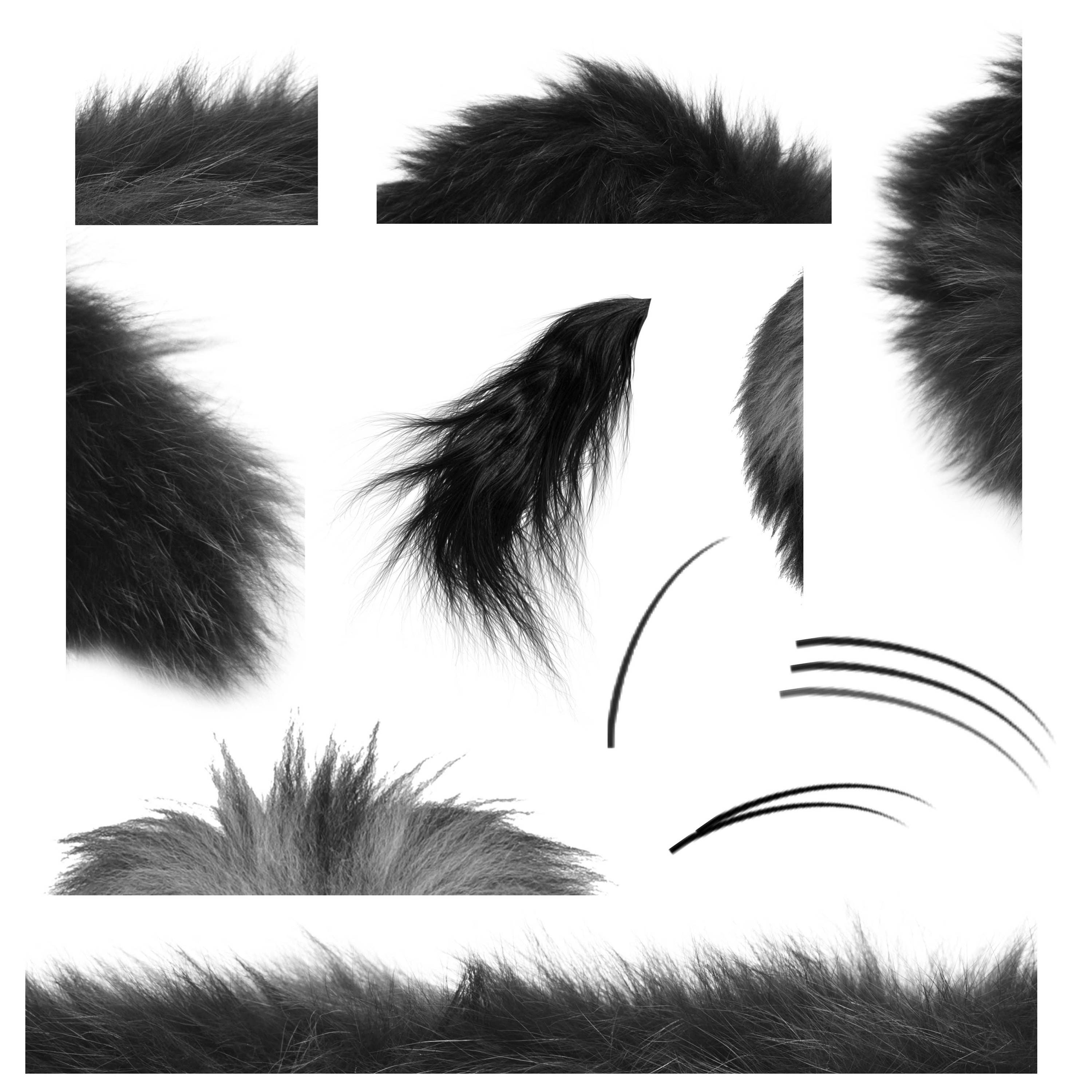 fur brush photoshop fur brush photoshop