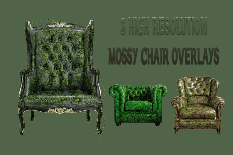 Buy 3 Get One Free 3 X Mossy Chair Overlays Large Files Separate Png Files High Resolution Instant Download