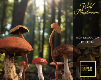 Wild Mushroom Overlays, Separate PNG Files, High Resolution, Instant Download, CUOK.