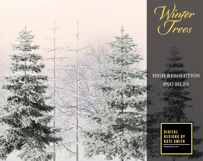 Winter Trees Overlays, Separate PNG Files, High Resolution, Instant Download, CUOK.
