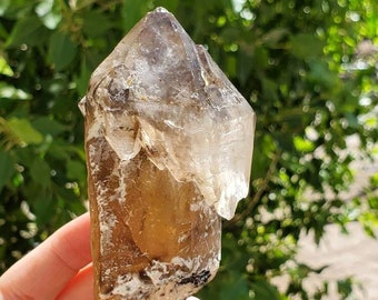 Elestial Smoky Quartz Scepter