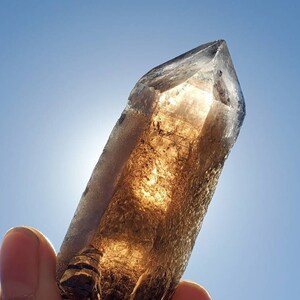 Hallelujah Junction Smoky Quartz Scepter-Crystal Reading Included