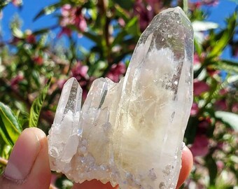 Op de afbeelding: Een cluster van heldere kwartskristallen met een melkachtige witte tint. De kristallen zijn in een cluster gerangschikt, met het hoogste kristal in het midden. De kristallen zijn doorschijnend en hebben een lichte glans.