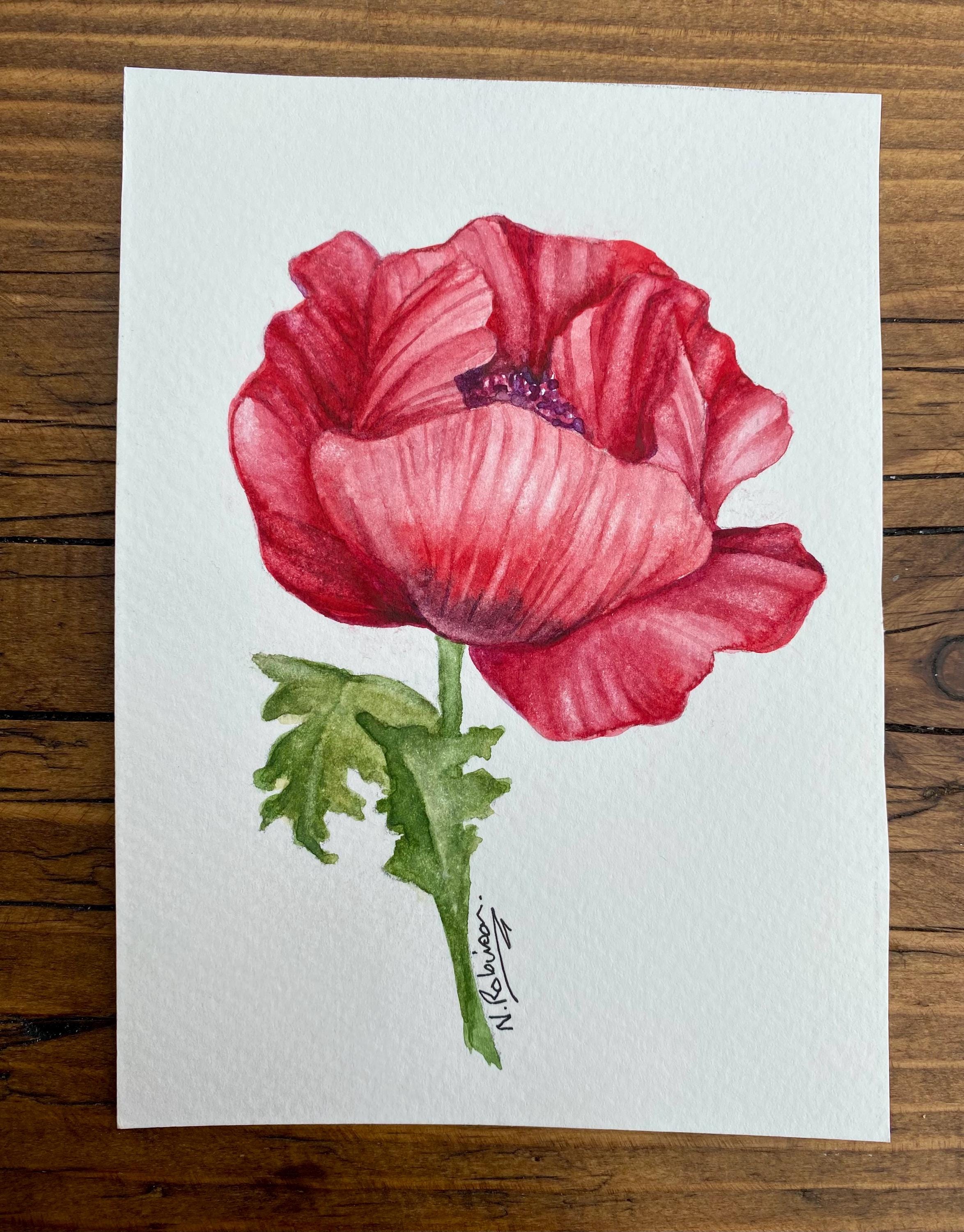 Berries & Blossoms Collectables - Red Poppy - no 1.  Original painting in Watercolour by Norma Robinson