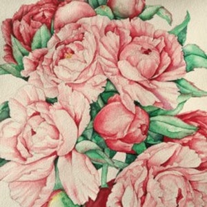 Rosas de peonía, pintura floral original de Norma Robinson