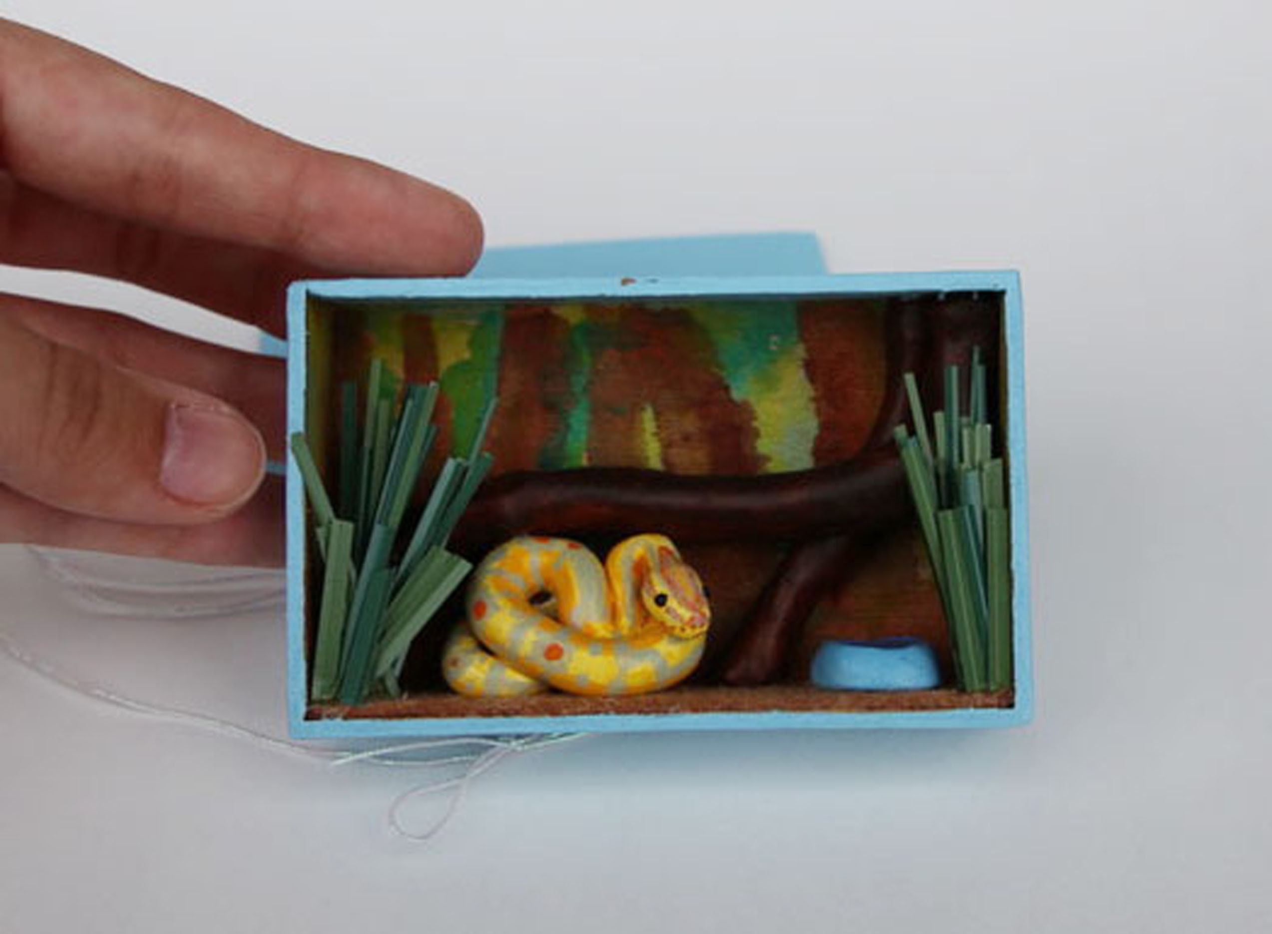 Snake Habitat Miniature Scene Diorama Etsy