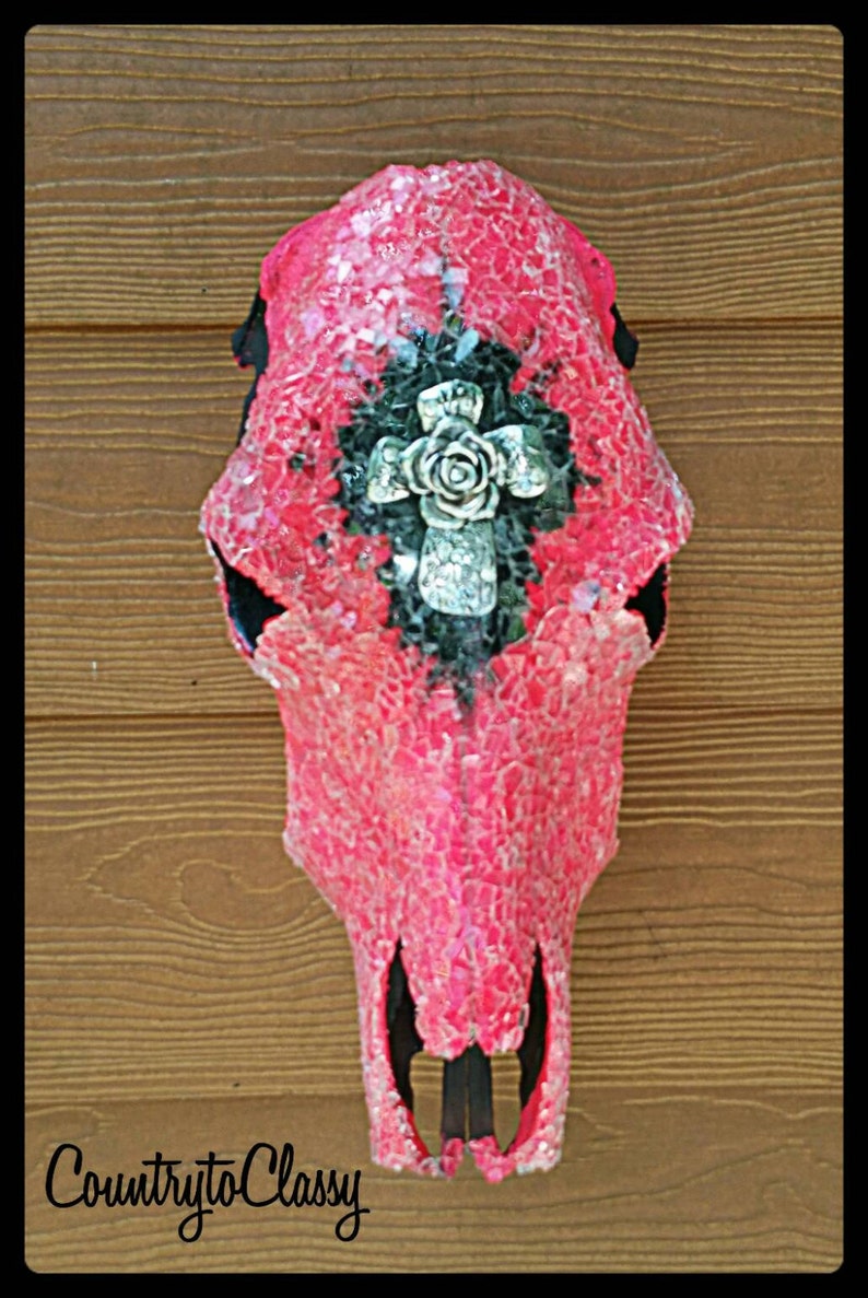 Hot pink decorated cow skull, cowgirl bedroom, Bar decor, game room decor, woman's cave, bedroom decor image 1