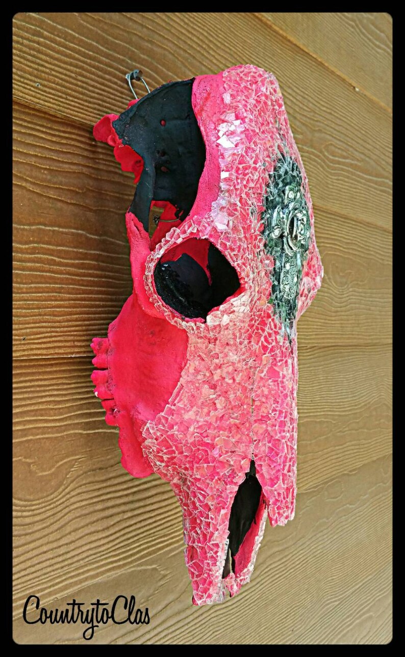 Hot pink decorated cow skull, cowgirl bedroom, Bar decor, game room decor, woman's cave, bedroom decor image 2