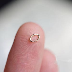 May include: A small, gold-colored hoop earring.