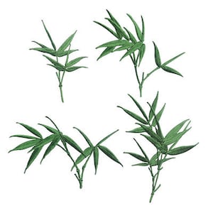 May include: Four separate images of green bamboo leaves, each with a different arrangement of leaves and stems.
