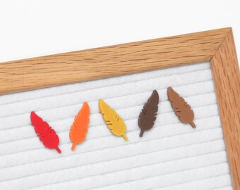 Turkey Feathers - Thanksgiving & Fall Letter Board / Letterboard Icon Collection