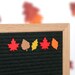 Stephanie reviewed Fall Leaves - Autumn & Thanksgiving Letter Board / Letterboard Icon Set