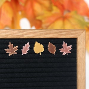 Fall Leaves (Metallics) by Candy Letters • Autumn Decor & Thanksgiving Decorations Letter Board Icons • Letterboard Accessories