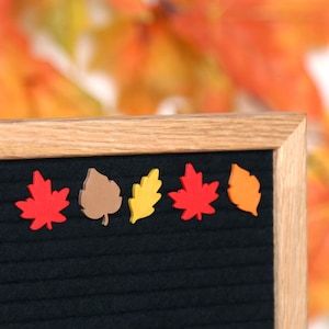 Fall Leaves by Candy Letters • Autumn Decor & Thanksgiving Decorations Letter Board Icons • Letterboard Accessories