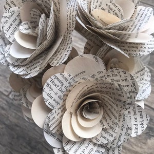 Edgar Allan Poe Book Roses - Etsy