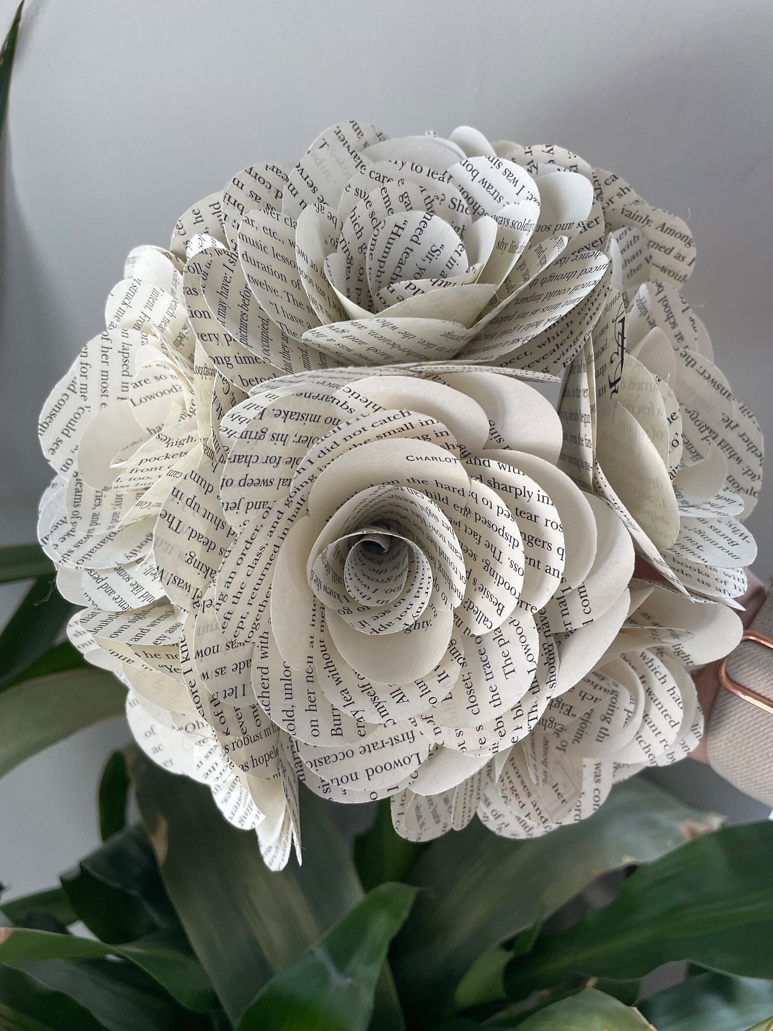 Jane Eyre Book Roses Etsy