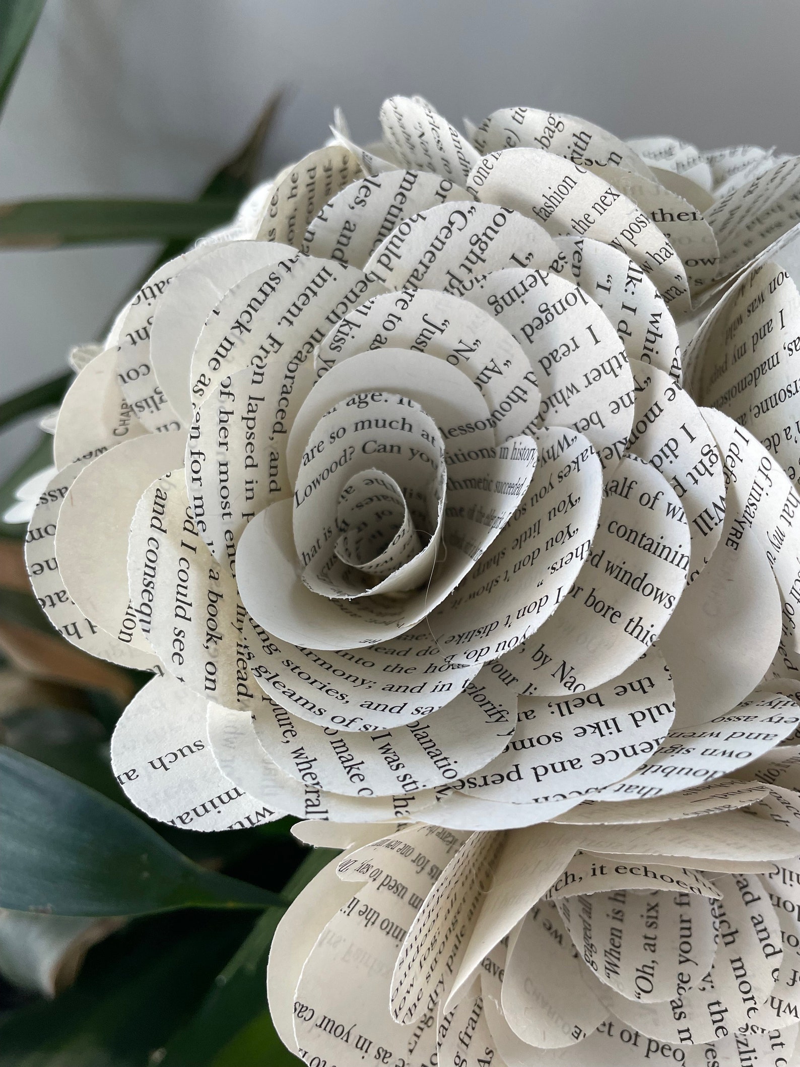 Jane Eyre Book Roses Etsy