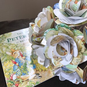 Peter Rabbit Book Roses - Etsy