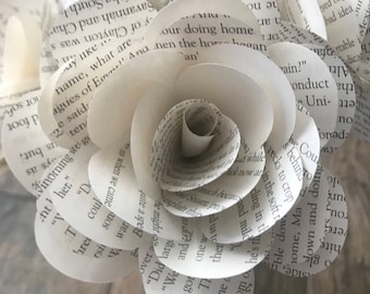 Gone with the Wind Book Roses