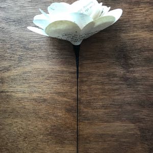 Edgar Allan Poe Book Roses - Etsy