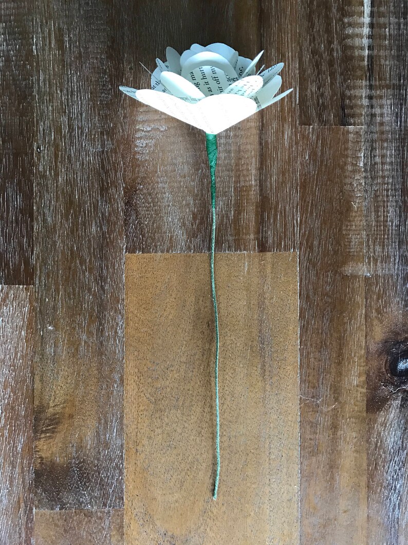 Varying Quantity Book Page Paper Roses 3 Harry Potter Book Roses Paperback Book