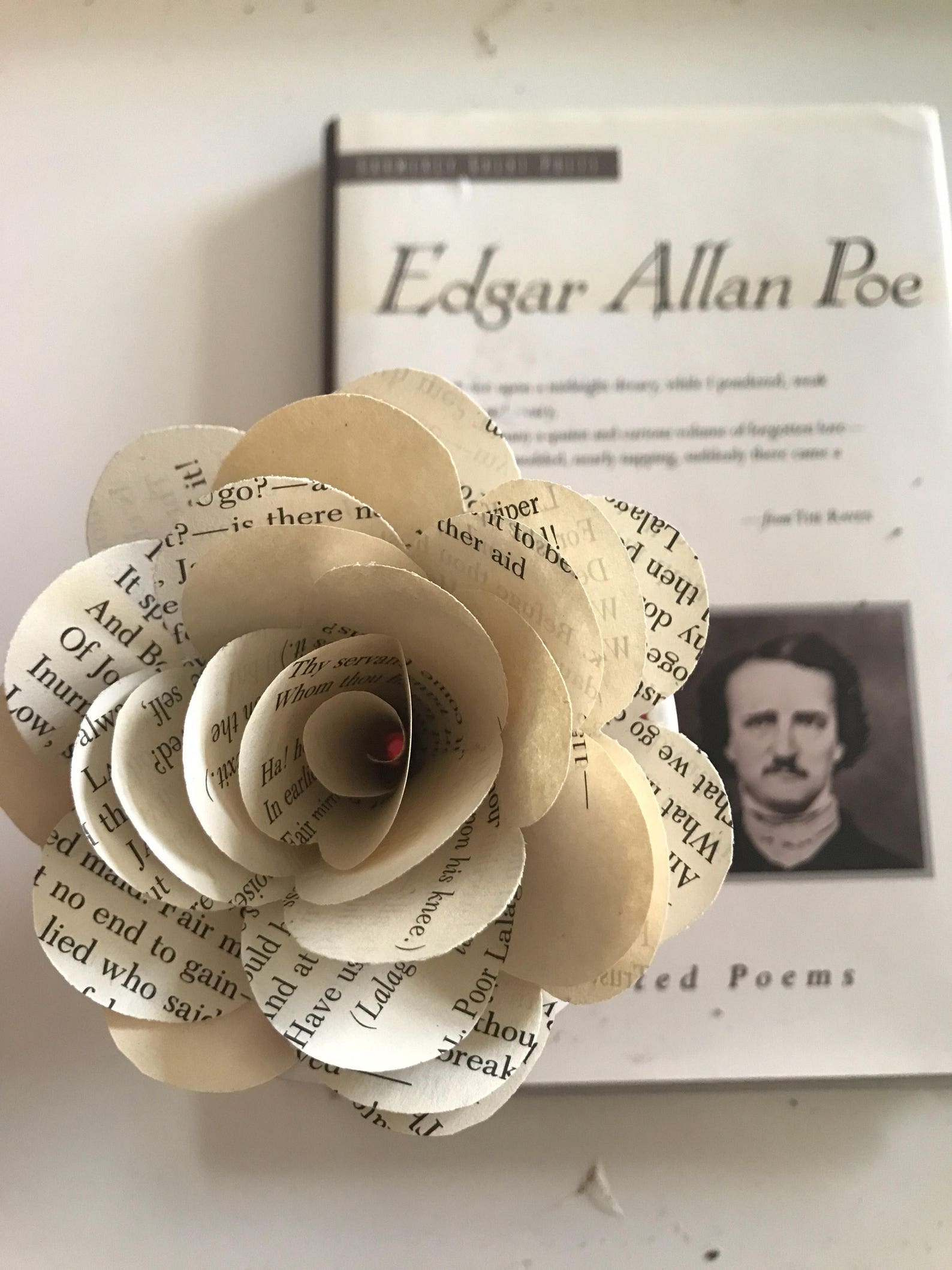 Edgar Allan Poe Book Roses - Etsy