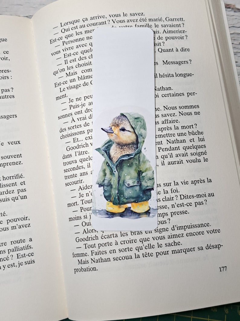 Bookmark rabbit bookmark gift educator teacher book accessory Canard vert raincoat