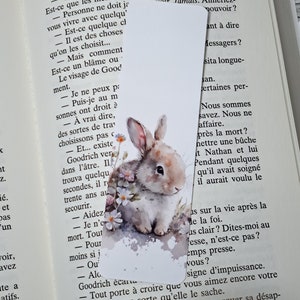 Bookmark rabbit bookmark gift educator teacher book accessory Lapin