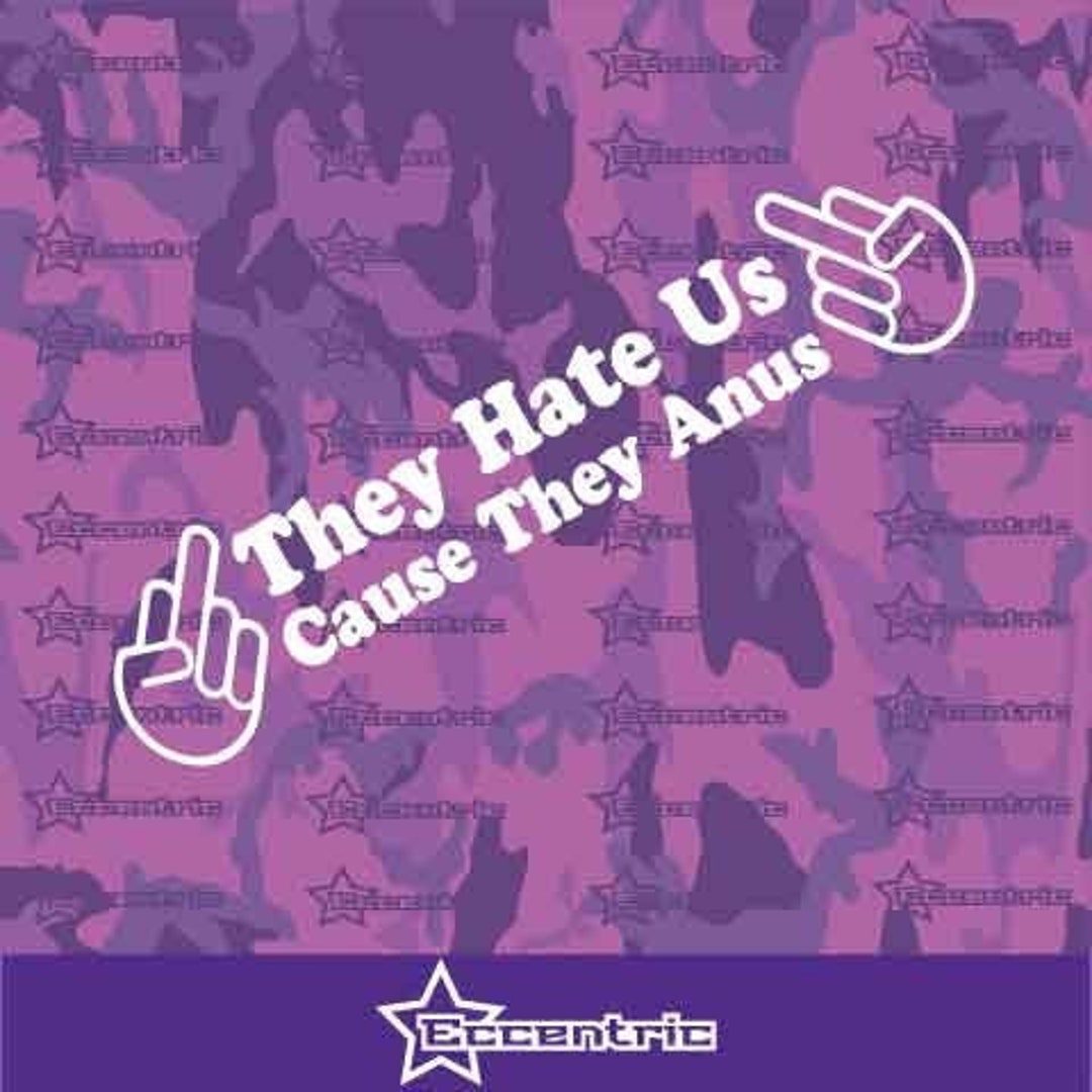 They Hate Us Cause They Anus Vinyl Sticker Decal Funny Fresh Etsy