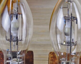 Steampunk SCRAP Light Bulbs, Edison Light Bulb Non-Working, Altered Art, Old Light Bulbs, Movie Prop, Lighting Photography Prop #2-27