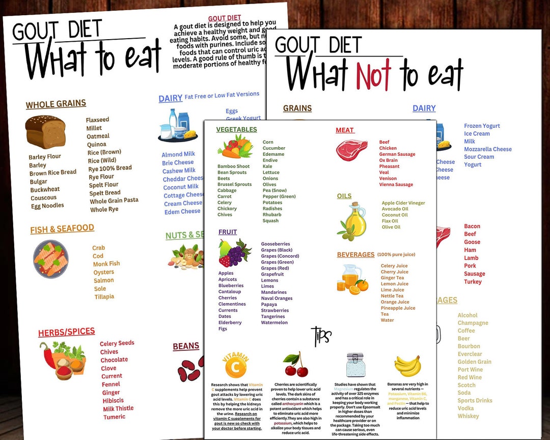 Gout Diet Food Chart What To Eat What Not To Eat Food Chart Etsy