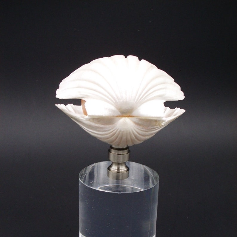 Custom Lamp Finial Featuring Genuine Scallop Shells With a Etsy