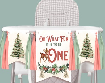 Oh What Fun it is to be one High Chair Banner / First Birthday Party Smash Cake Photo shoot / Snow Much Fun / Winter ONEderland / BC22